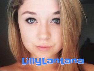 LillyLantana