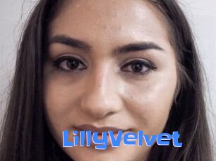 LillyVelvet