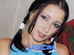 Lily_Cat_