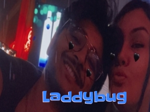 Laddybug