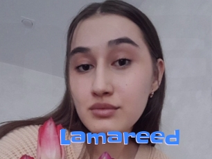 Lamareed