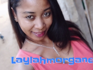 Laylahmorgane