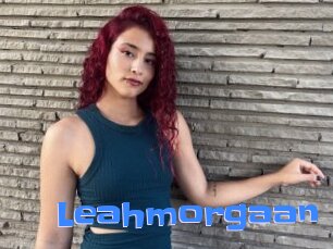 Leahmorgaan