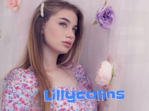 Lillycolins