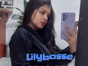 Lilybosse