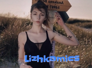 Lizhkamics