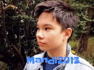 Mandi2013