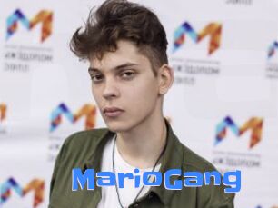 MarioGang