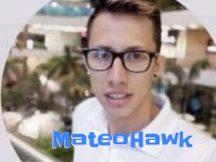 MateoHawk