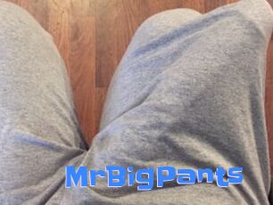 MrBigPants