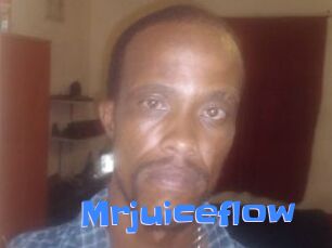Mrjuiceflow