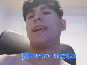 Mario_neta