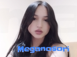 Meganosori