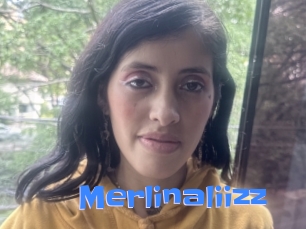 Merlinaliizz