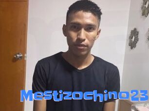 Mestizochino23