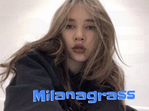 Milanagrass