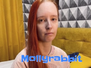 Mollyrabbit