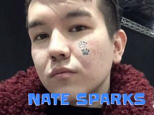 NATE_SPARKS