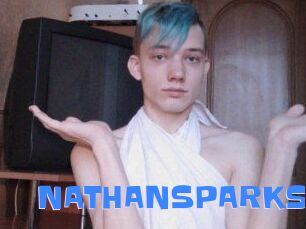 NATHAN_SPARKS