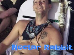 Nectar_Rabbit