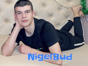 NigelBud