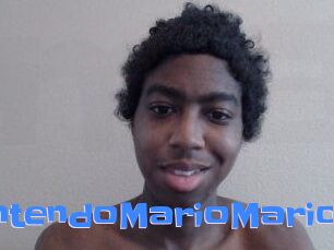 NintendoMarioMario