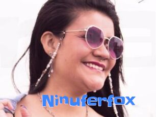 Ninuferfox