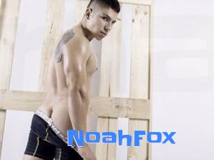 NoahFox