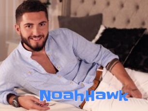 NoahHawk