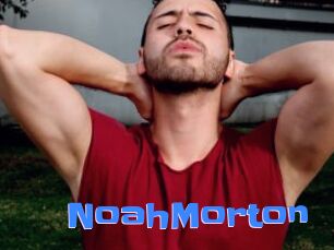 NoahMorton