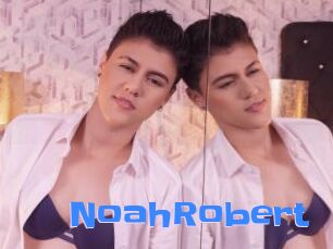 NoahRobert