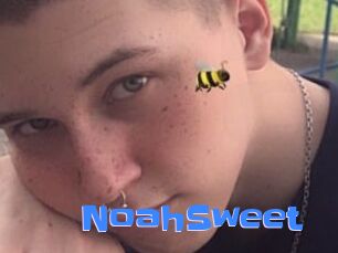 NoahSweet