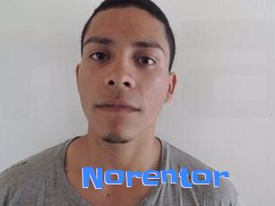 Noren_tor