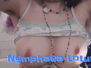 Nymphaea_Lotus