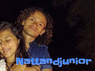 Nattandjunior