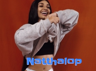 Natthalop