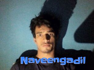 Naveengadil