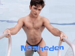 Noaheden