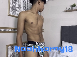 noahhorny18 Mausi Privat