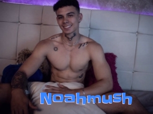 Noahmush