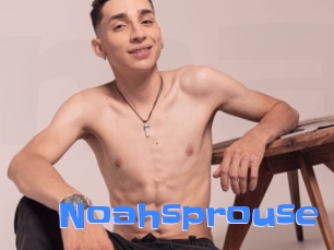 Noahsprouse