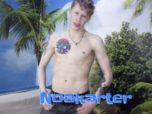 Noakarter