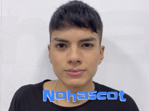 Nohascot