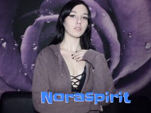 Noraspirit