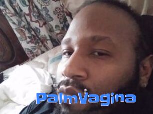 PalmVagina