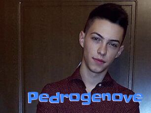 Pedrogenove