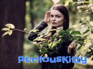 Perilous_Kitty