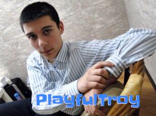 PlayfulTroy