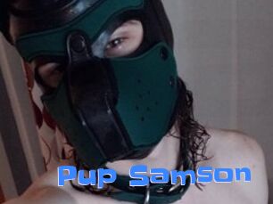 Pup_Samson