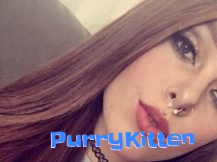 PurryKitten